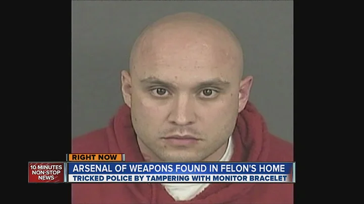 Arsenal of weapons found in felon's home