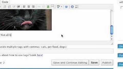 Wordpress Blogging Tutorial - Part Three