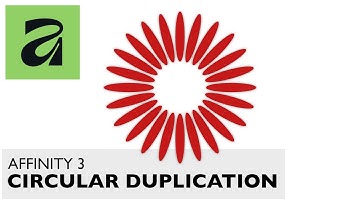 AFFINITY 3 Circular Duplication How To