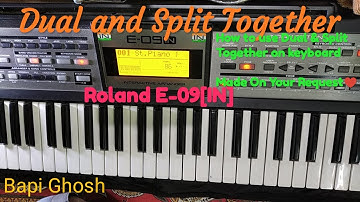 Roland E-09 | How To Use Dual & Split Together | Bapi Ghosh