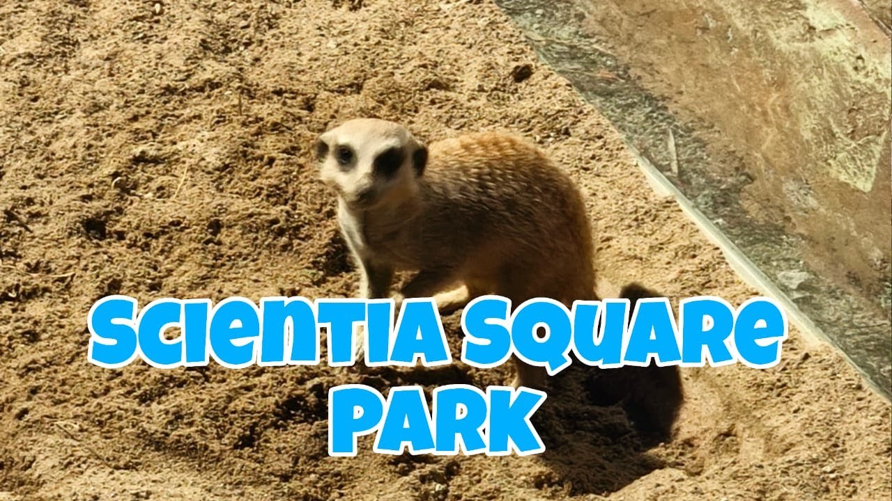 Scientia Square Park 