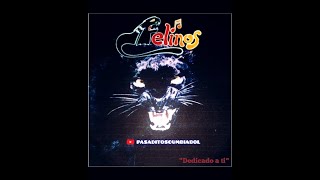 Video thumbnail of "los felinos de bolivia ft javier monje - sin corazon(1995)"