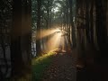 Where Silence Feels Alive ☀️ #nature #aivideo #animation #trending #sound #satisfying #like
