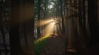 Where Silence Feels Alive ☀️ #nature #aivideo #animation #trending #sound #satisfying #like