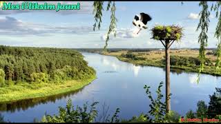 Ai Rosta Muzika - Mes Išliksim Jauni Naujiena 2025