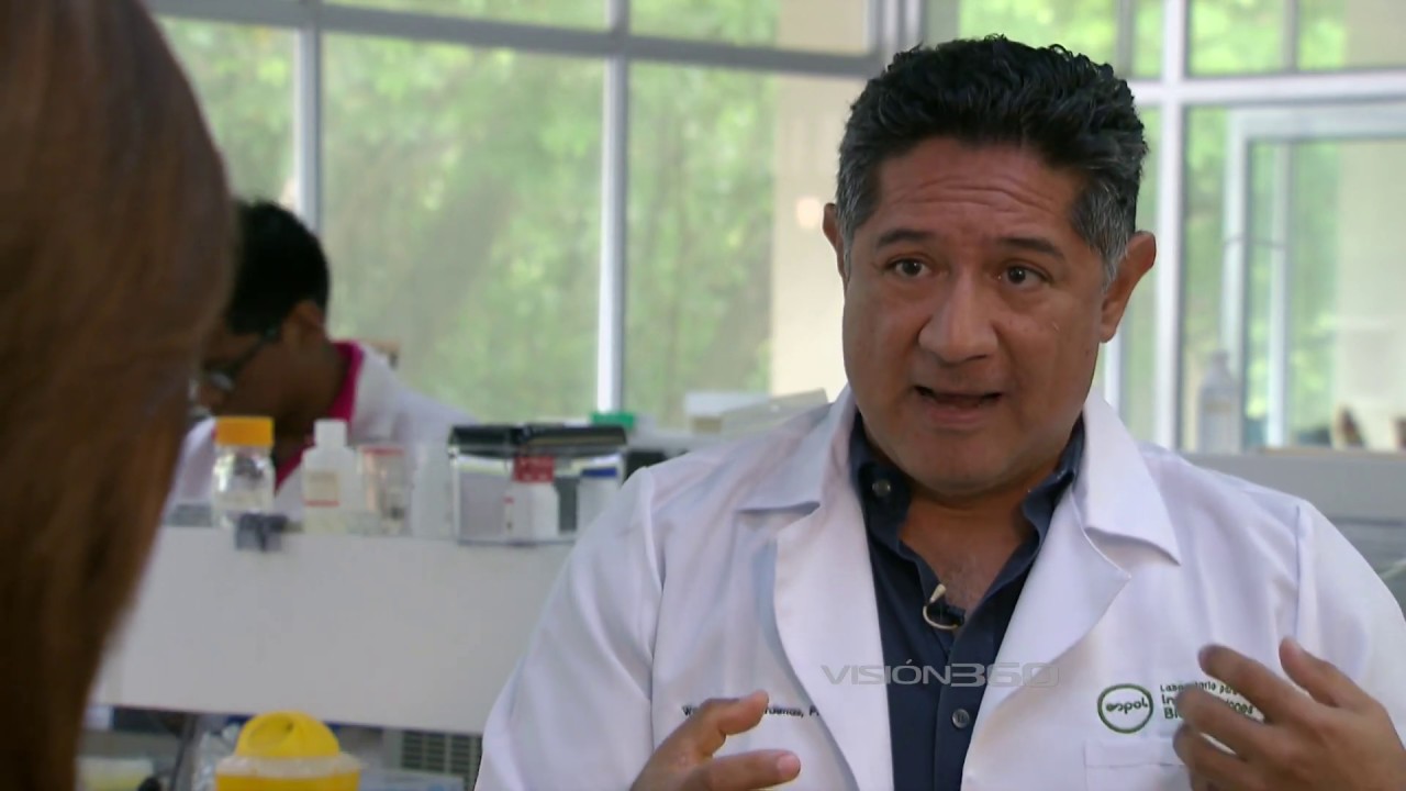 La nueva normalidad | Visión 360 VII