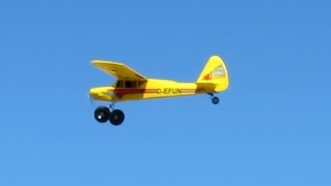 Fun Cub Maiden ♫ ♫