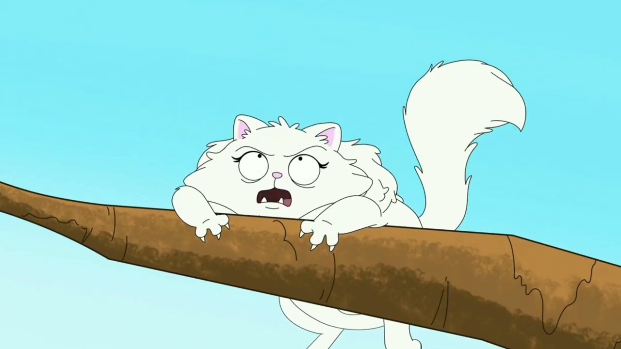 HouseBroken Best of Tabitha season 1