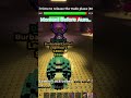 The Craziest Thing That I have ever got on taco tusday #sab #stealabrainrot #viral #shorts #gaming