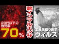 【まんが感染症の歴史】鳥インフルエンザ - 鳥類からヒトへの感染
