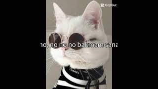 No No No No Bakmam Sana