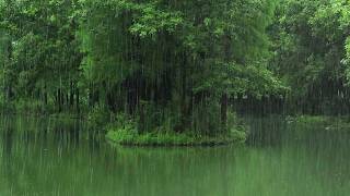 97% Rain Sounds for Sleep With Rainy Forest Pond | 3 Hours FHD Rain Loop ASMR | Calm Anxiety