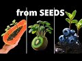 1001 days in 12 relaxing minutes  growing plants from seeds time lapse