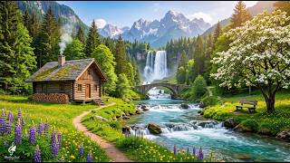 Beautiful Relaxing Music - Stop Overthinking, Stress Relief Music, Sleep Music, Calming Music