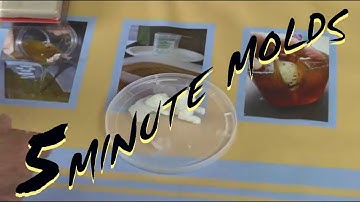 5 Minute Molds -Resin Casting Urethane Duplicate of a Toy in ImPRESSive Putty FAST AND Reusable