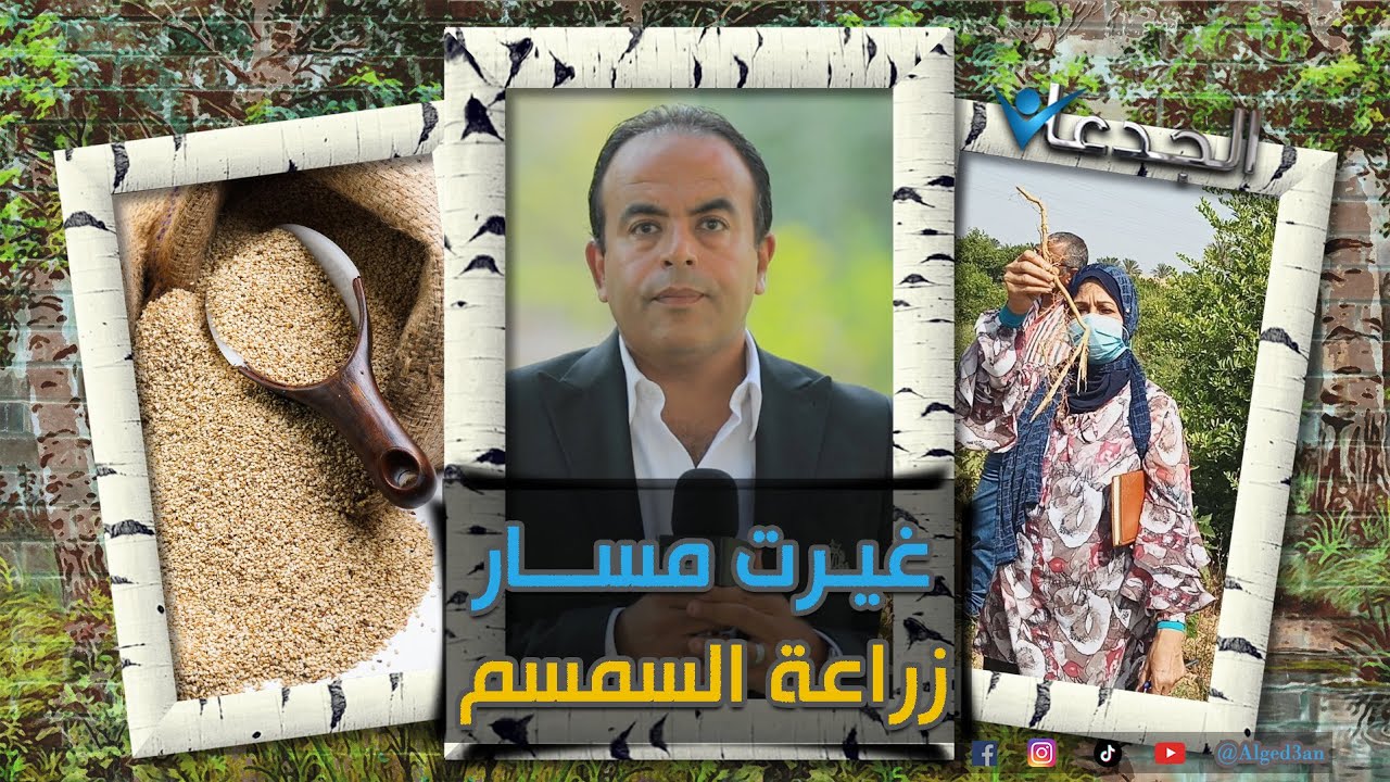 الدكتورة سحر غزال غيرت مسار زراعة السمسم في مصر.. لازم نهتم بتجربتها