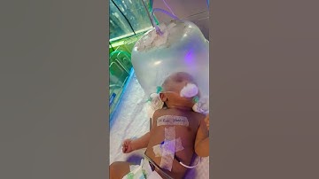 new born baby video #song #music #love #trending #ytstudioes #cuteanimal #coversong #baby