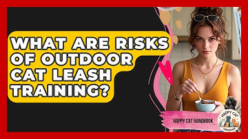 What Are Risks Of Outdoor Cat Leash Training? - Happy Cat Handbook