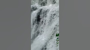 1 chiếc thác xinh tại Bảo Lộc