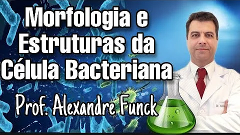 Qual a estrutura do genoma bacteriano?