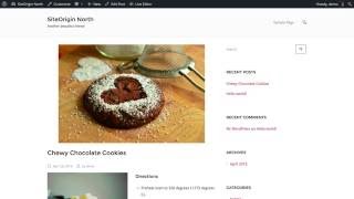 Creating WordPress Blog Posts