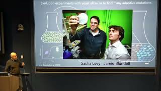 Dmitri Petrov - Real and Not Just Hopeful Monsters: Evolution by Very Large Jumps (February 5, 2025)
