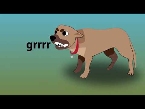 How to handle aggressive dogs - How to pet/socialize dogs & how to deal with an attacking dog