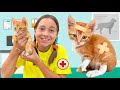 صوفيا تنقذ القطة وتذهب إلى الطبيب البيطري 