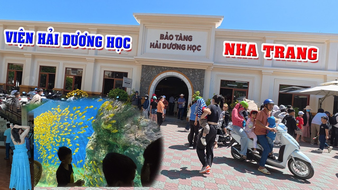 Viện Hải Dương Học Nha Trang Đông Nghẹt Du Khách Chật Kín Lối Đi