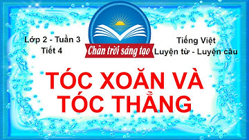 TÓC XOĂN VÀ TÓC THẲNG (Tiết 4) | Tuần 3 | Luyện Từ và Câu | Tiếng Việt Lớp 2 Chân Trời Sáng Tạo