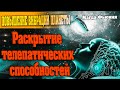 Раскрытие телепатических способностей | Абсолютный Ченнелинг