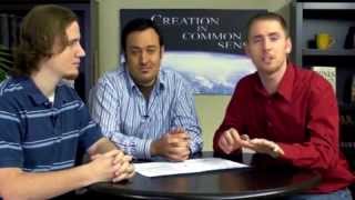 Famous Creation in Common Sense - Is Evolution Evolving? Wealth