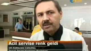 acil servis renk sistemi - [tvarsivi.com] screenshot 5