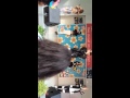 150719 lol-エルオーエル- shakeshake