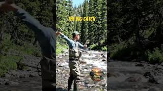 The Big Catch--Lets get to 500 Subscribers. We are so close.