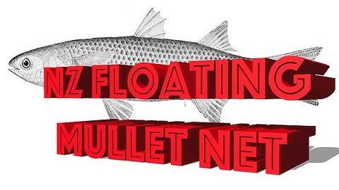 NZ Floating Mullet Fishing Net