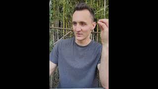 my thoughts on surrender vs apathy