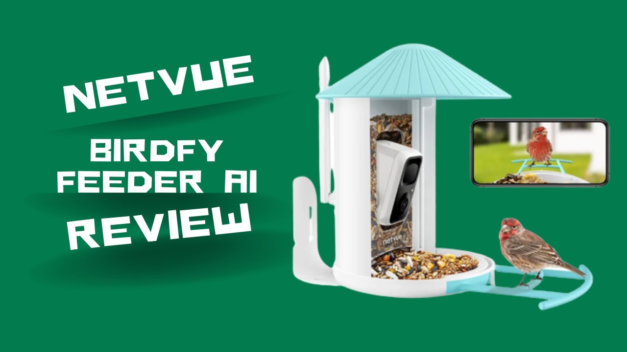 Netvue Birdfy Feeder AI Revealed: The Ultimate Review Unveiled! - YouTube