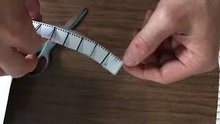 Vertical Loop