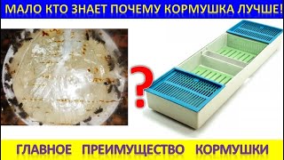 Главное Преимущество Кормушки. Мало Кто Знает Почему Кормушка Лучше!