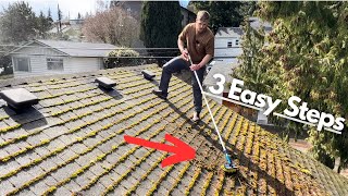 How to Clean and Get Rid of Roof Moss For GOOD screenshot 2