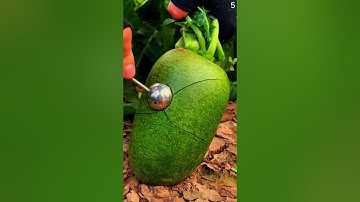 Alat cerdas sederhana untuk memotong ubi #shorts