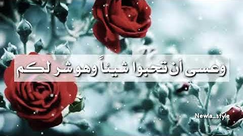 قرآن كريم - حالات واتس قرآنيه (وعسي أن تكرهوا شيئا وهو خير لكم)