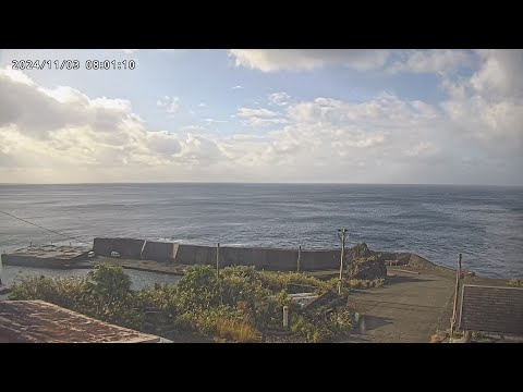 八丈島ホエールウォッチングカメラ_藍ガ江