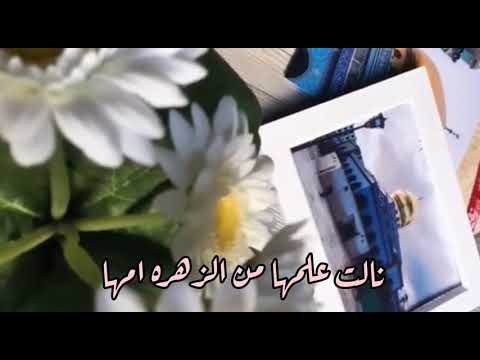 زينب هالليله مولدها باسم الكربلائي