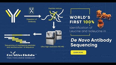 100% Identification of Leucine and Isoleucine in De Novo Antibody Sequencing - Creative Biolabs
