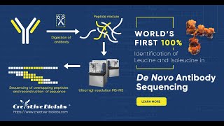 100% Identification of Leucine and Isoleucine in De Novo Antibody Sequencing - Creative Biolabs