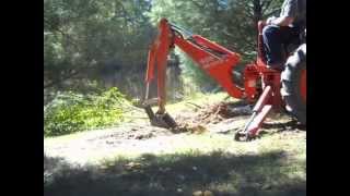 Digging Up the Tree Roots with the Kubota Part B