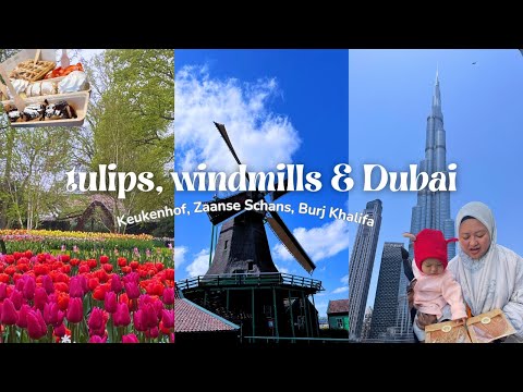 Vlog #5 🌷 Tulip Season in Holland + Dutch Windmills & Dubai Layover ✈️