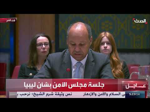 مندوب بريطانيا في مجلس الأمن يدعو إلى انتخابات ليبية حرة